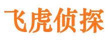 安庆外遇取证